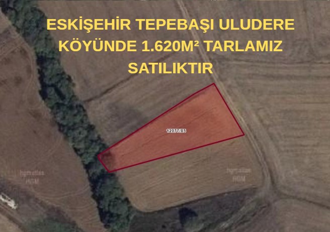 ESKİŞEHİR TEPEBAŞI ULUDERE KÖYÜNDE 1.620M² TARLAMIZ SATILIKTIR - ESKİŞEHİR TEPEBAŞI fotoğraf 7